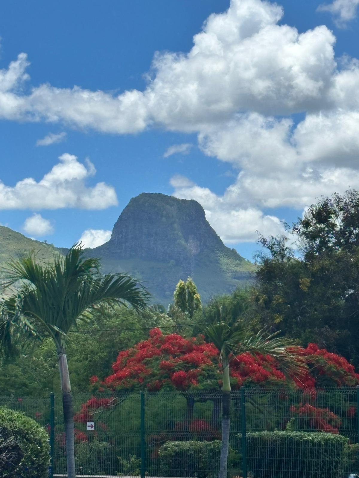 Mauritius landscape - living sanctuary
